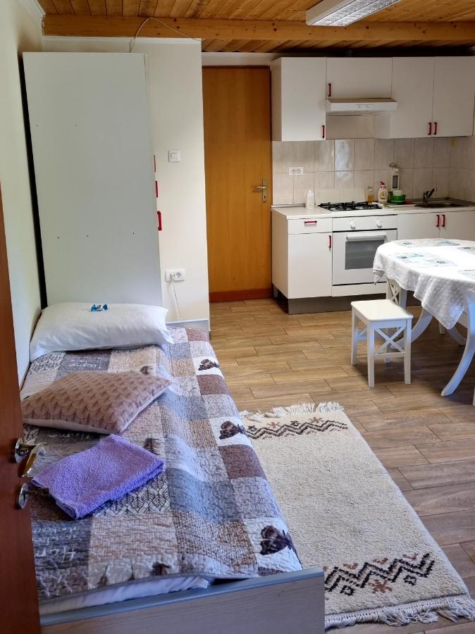 Dobra Hisa Zdravja Cicarija Hotel Golac Exterior foto